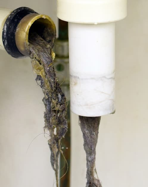 Drain Blocked With Hair — Plumbers & Electricians in the Wollongong Region, NSW